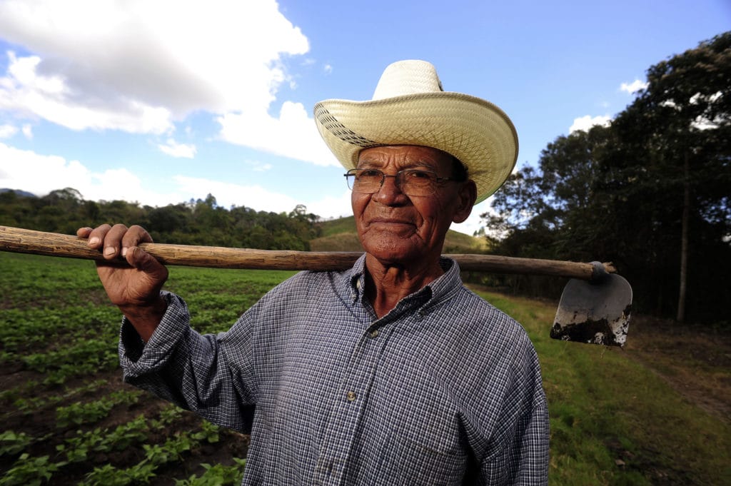 A farmer standing in a field smiling