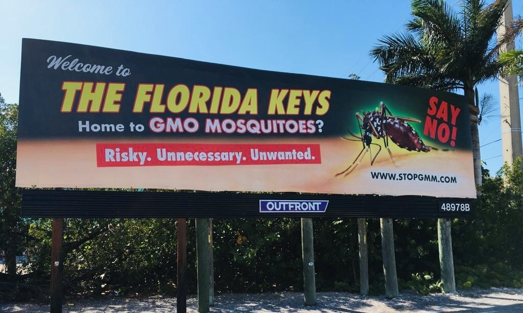 Gmo Mosquitoes Released In Florida Keys