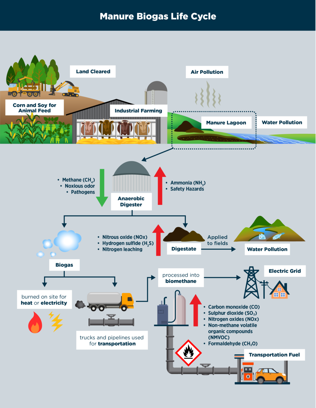 manure biogas life cycle infographic