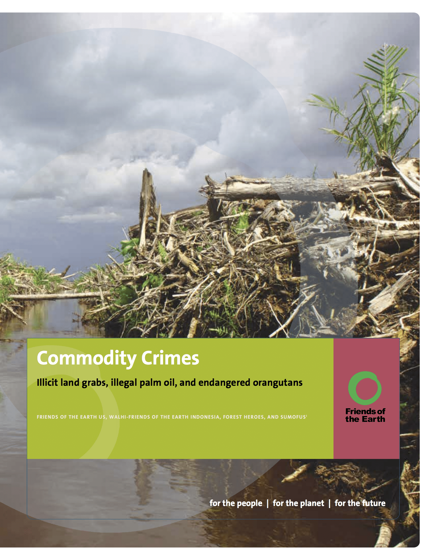 Commodity Crimes: Illicit Land Grabs, Illegal Palm Oil and Endangered Orangutans.