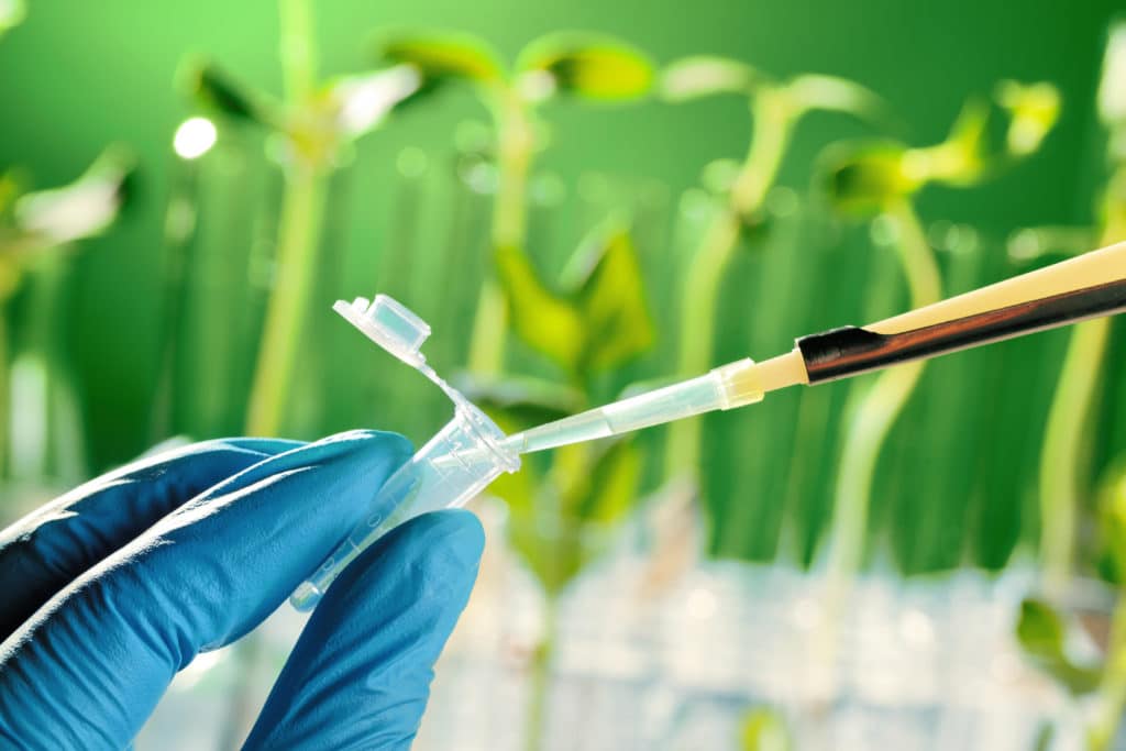 A gloved hand holding a syringe in a vial in front of a field