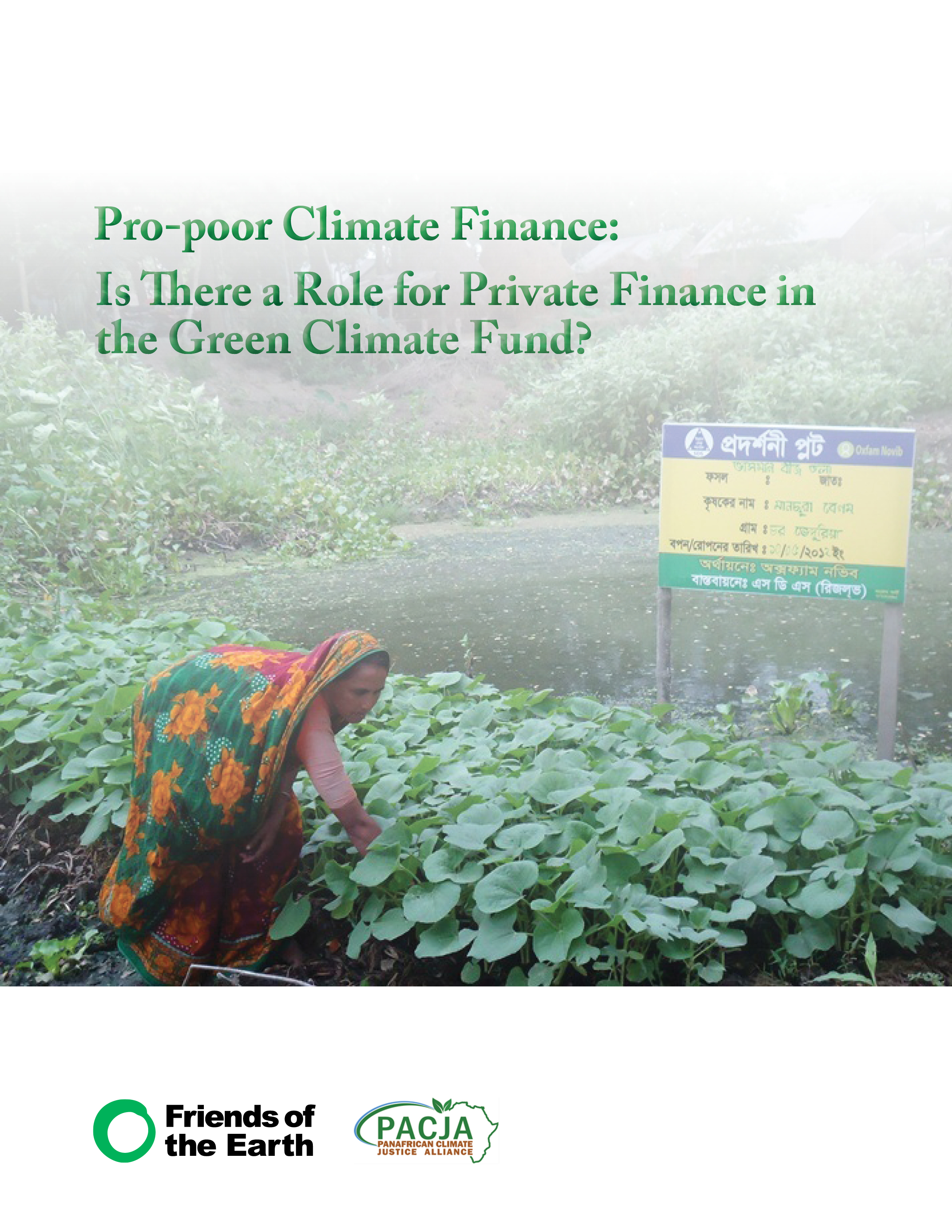 Pro-poor Climate Finance: Is There a Role for Private Finance in the Green Climate Fund?