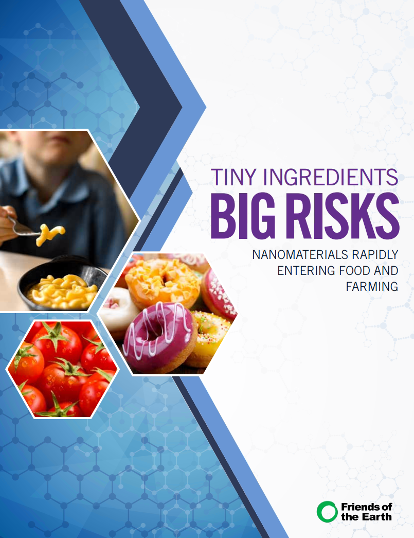 Tiny Ingredients, Big Risks