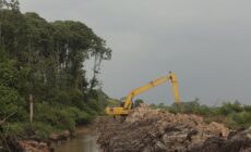 Lets prevent palm oil from foreclosing on our climate future