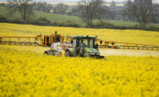 Neonic studies highlight need to strengthen EPA pollinator rules