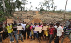 Communities in Nigeria speak out on Wilmar palm oil landgrab: Video and statement