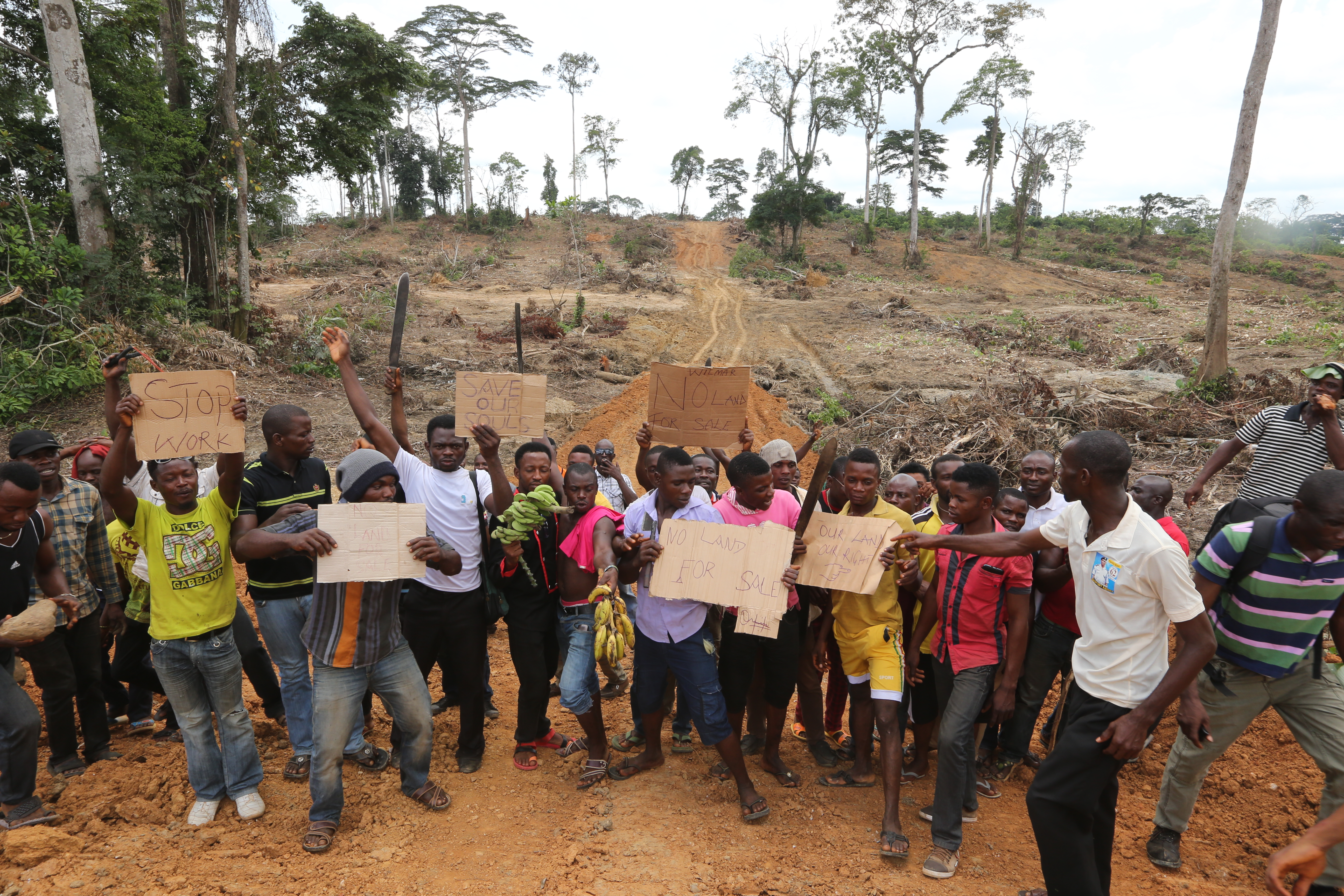 When Wilmar finishes, we have no future left: New report on Nigerian palm oil land grabs