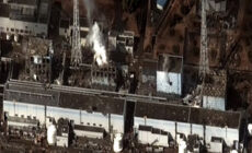 Fukushima:  One year later