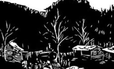 Bring the march on Blair Mountain to Bonn