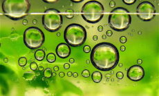 A broken policy? Coalition calls for hearings on the renewable fuel standard