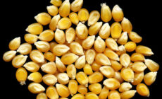 Ethanol industry toots its own horn, ignores the cost of ethanol to American taxpayers, consumers, and the environment