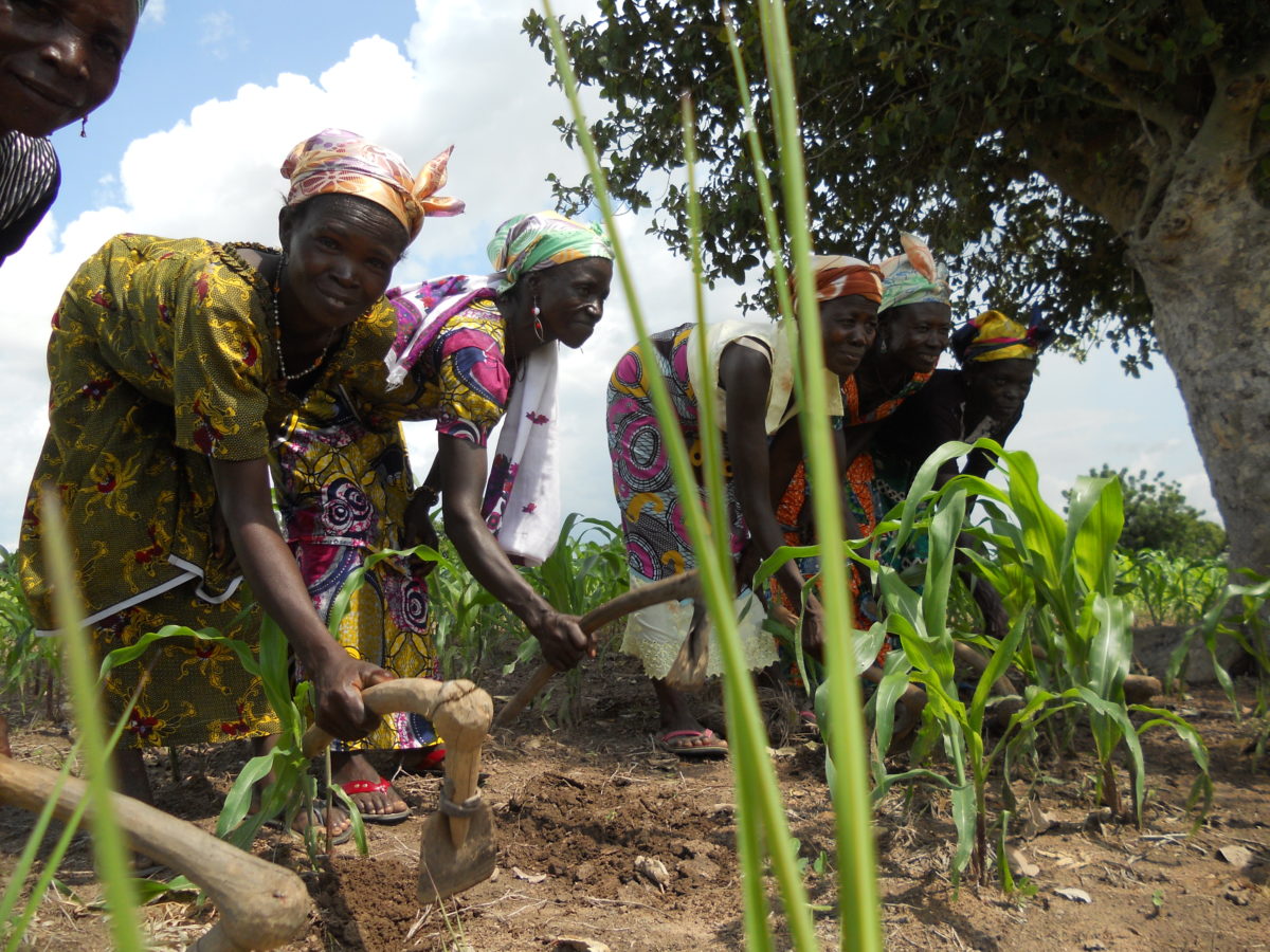 Five African women farmers working