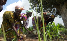 Green Climate Fund faces worrisome developments with big banks, bad process