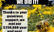 Thanks for making 2013 a landmark year for our Earth!