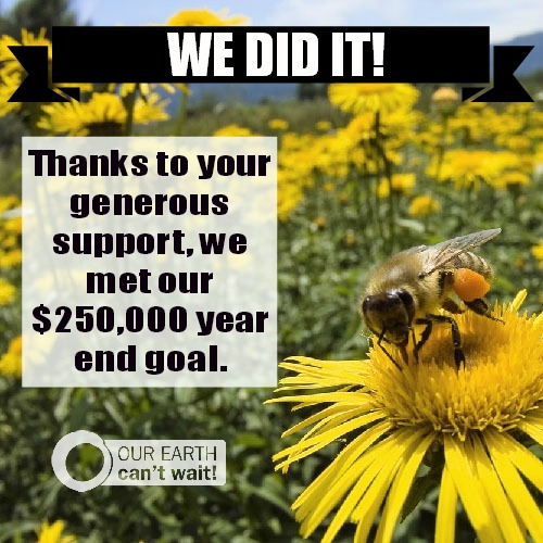 Thanks for making 2013 a landmark year for our Earth!
