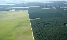 Harvard: Stop destroying the IberWetlands!