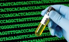 Bioeconomy Blueprint or biotechnology boost?