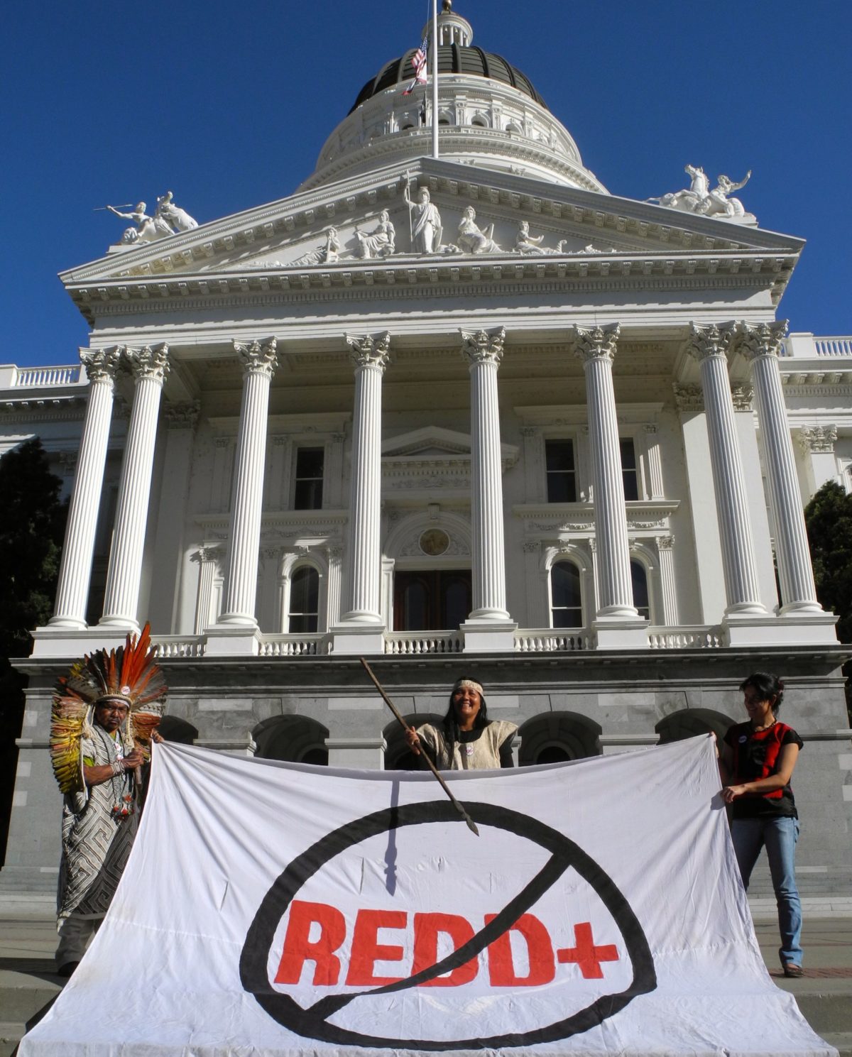 A group of activists in front of a state capitol building holding a banner against REDD+