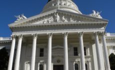 California REDD: A False Solution