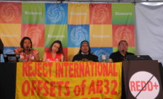 From false climate solutions to addressing the real drivers of deforestation