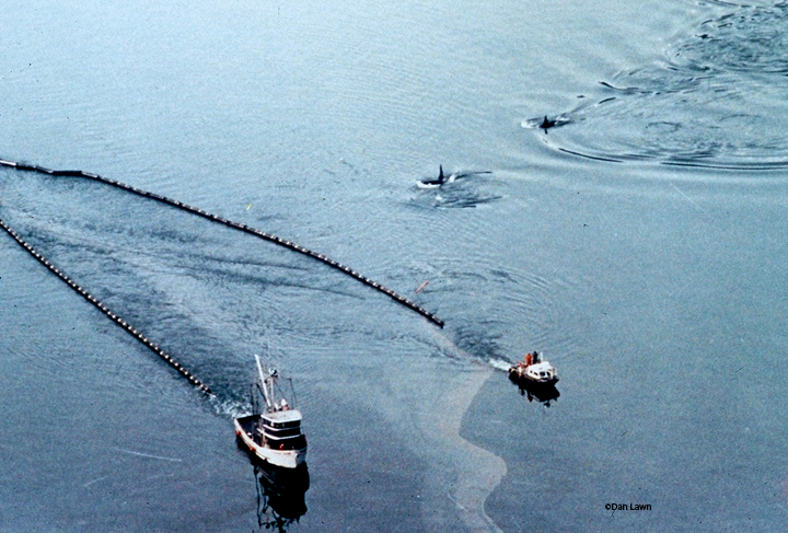 Exxon Valdez anniversary  it is unlikely that we will see another 25 years go by before we have another catastrophic oil spill