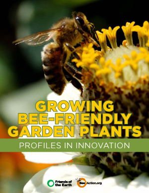 Growing Bee-Friendly Garden Plants: Profiles in Innovation