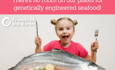 No Room on our plates for genetically engineered seafood