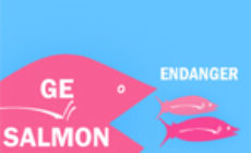 Fishy Business
