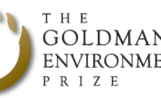 Introducing the 2013 Goldman Prize winners