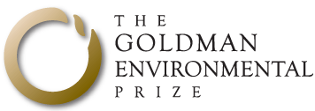 Introducing the 2013 Goldman Prize winners