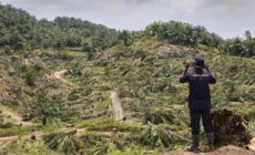 Friends of the Earth sends condolences for slain Indonesia palm oil activist