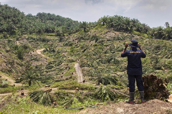 Friends of the Earth sends condolences for slain Indonesia palm oil activist