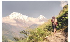 World Bank’s new lending tool: Less safe, less transparent