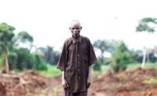 Protect forests, reject landgrabs: Tell investors to stop bankrolling big palm oil