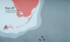GE mosquito release remains on indefinite hold — but for how long?