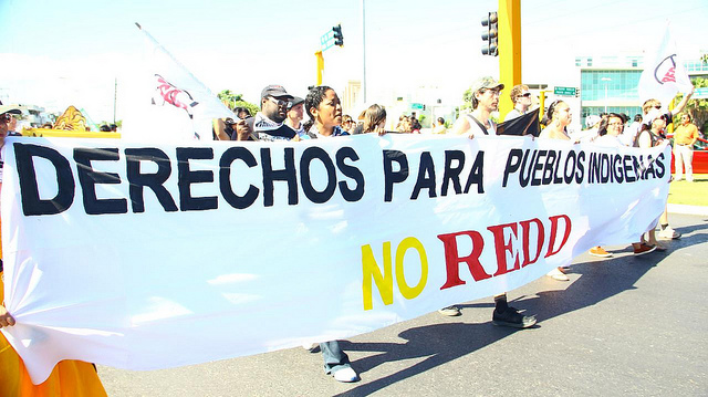 REDD and the green economy continue to undermine rights