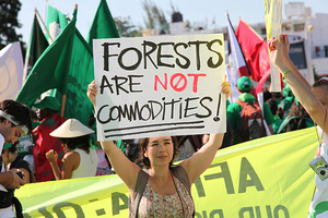 False Solutions for Forests: Biomass Energy, Sustainable Timber, and Carbon Markets