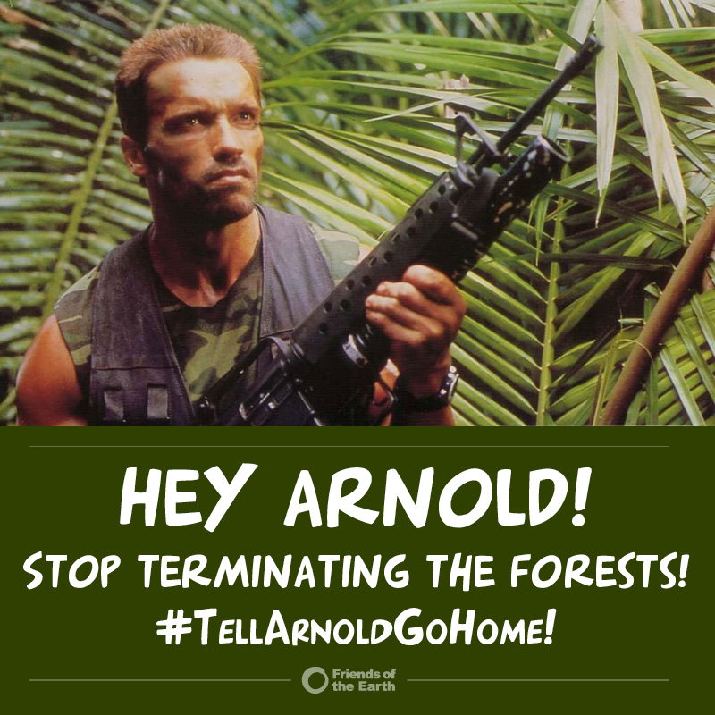 Join Friends of the Earth on Twitter to #TellArnoldGoHome!