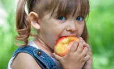 Schools Cut Meat and Cheese, Serve up Big Wins for Kids and Climate
