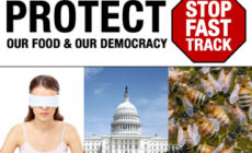 Fast Track attack: Chemical safety and food labels under fire in TPP and TTIP