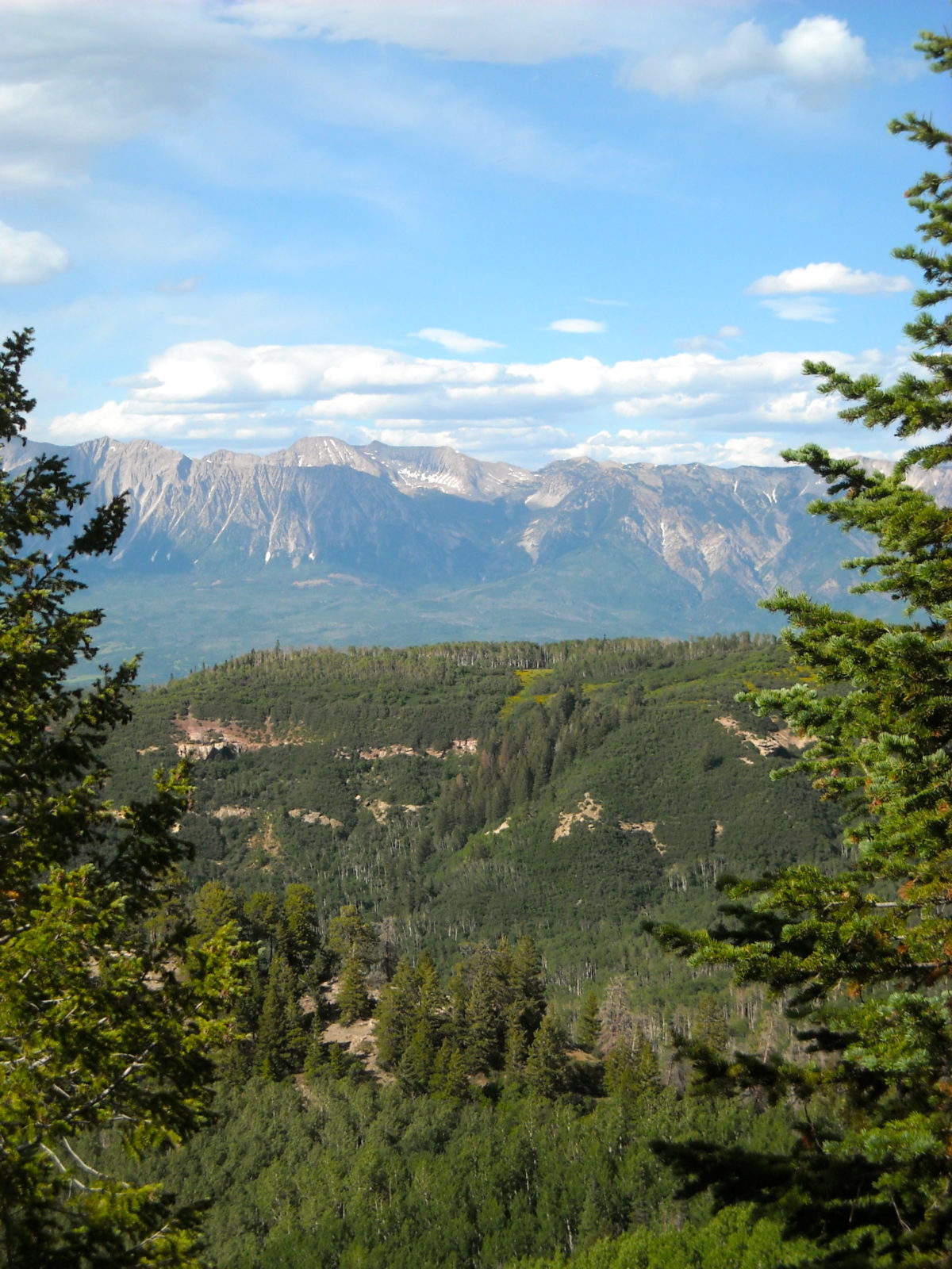 Mountain landscape viewed through trees