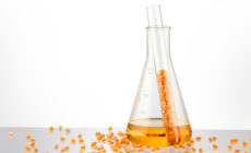 26 Senators urge EPA to reduce the corn ethanol mandate