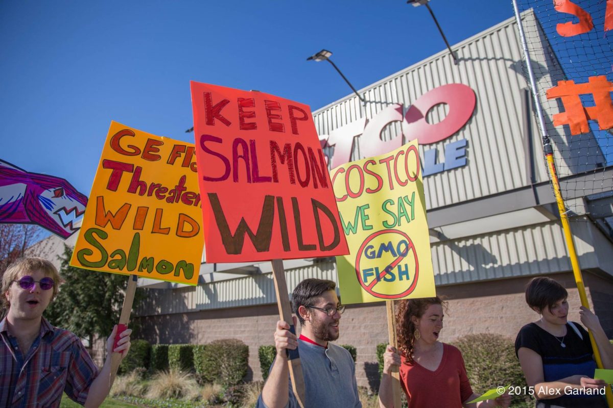 Activists standing outside of a Costco holding signs about protecting salmon