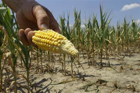 Severe drought shows stupidity of corn ethanol mandate