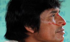 To stop the killings of environmental defenders, we need land reform and binding laws