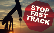 Interview: Green solidarity on the U.S.-Europe trade deal