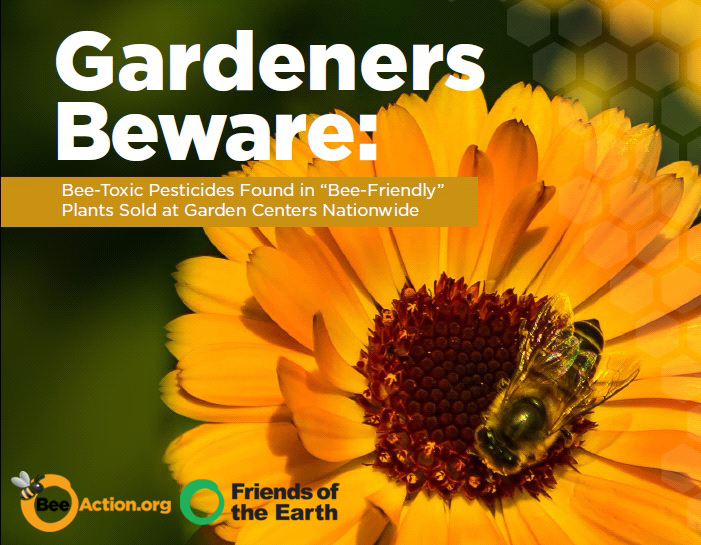 Gardeners beware: “Bee-friendly” plants may be poisoning your garden
