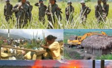 Why the World Bank must end its support for palm oil in Honduras