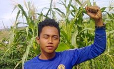 Violence in Uganda and Indonesia: Why plantation companies cant be trusted to police themselves