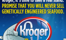Tell Kroger: It’s time to take a stand on GE-seafood!